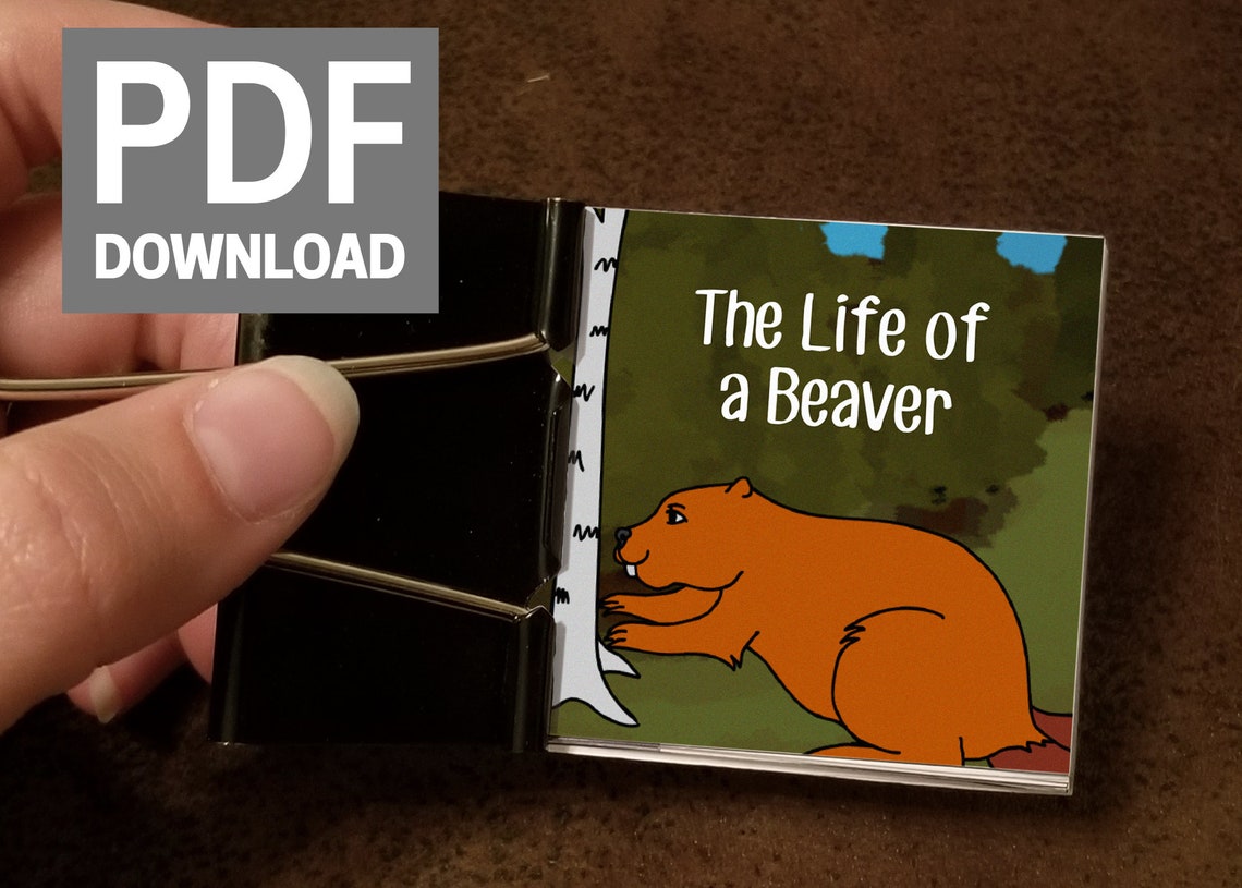 DIY Beaver Flipbook