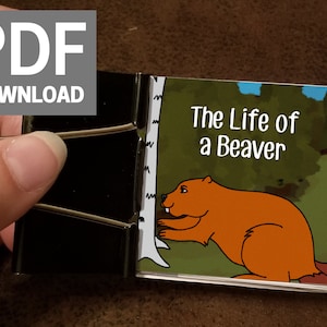 Op de afbeelding: Een klein, geïllustreerd boek met de titel "The Life of a Beaver". De omslag toont een cartoonbever die aan een boomstam knaagt. Het boek is opengeklapt en toont een pagina met een cartoonbever.