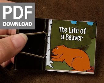 Beaver - Flipbook stampabile (animato da Rigmarole)