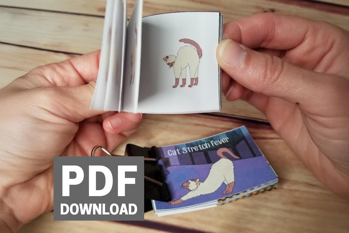 DIY Kitty Flipbook