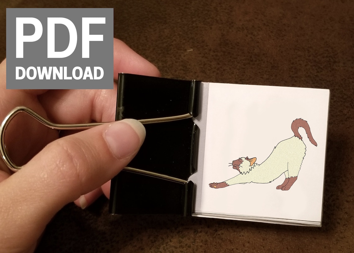 DIY Kitty Flipbook