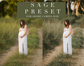 Sage - Adobe Camera Raw Preset / ACR Preset for Photographers - One Click Edit - Instant Digital Download