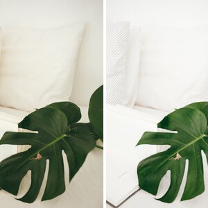 Puede incluir: Una almohada blanca con una hoja verde de monstera encima de una superficie blanca. La hoja tiene un gran agujero en el centro.