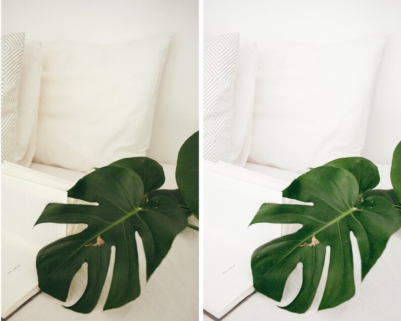 Puede incluir: Una almohada blanca con una hoja verde de monstera encima de una superficie blanca. La hoja tiene un gran agujero en el centro.