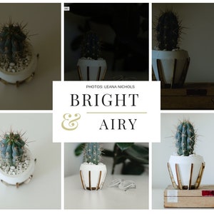 May include: A close-up of a cactus plant in a white pot with a gold metal stand. The cactus is green and has many spines. The pot is sitting on a white surface. The text "BRIGHT & AIRY" is written in gold lettering on a white background.