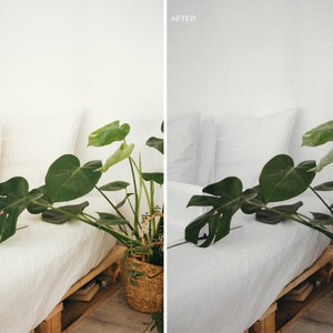 Puede incluir: Una cama blanca con almohadas blancas y una planta verde en una cesta de mimbre. La planta es una monstera deliciosa, una planta de interior popular.