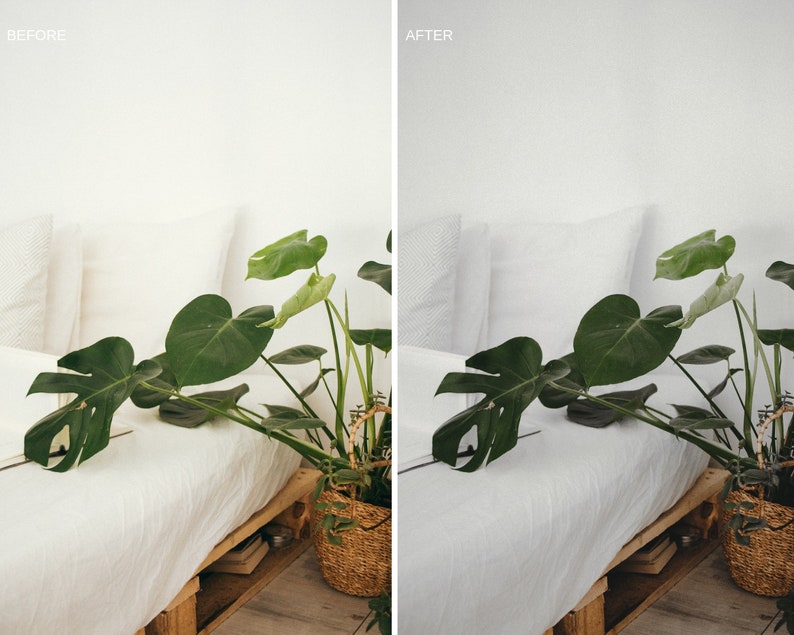 Puede incluir: Una cama blanca con almohadas blancas y una planta verde en una cesta de mimbre. La planta es una monstera deliciosa, una planta de interior popular.