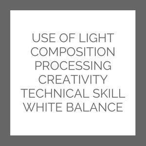 May include: A list of photography terms, including "Use of Light", "Composition", "Processing", "Creativity", "Technical Skill", and "White Balance".