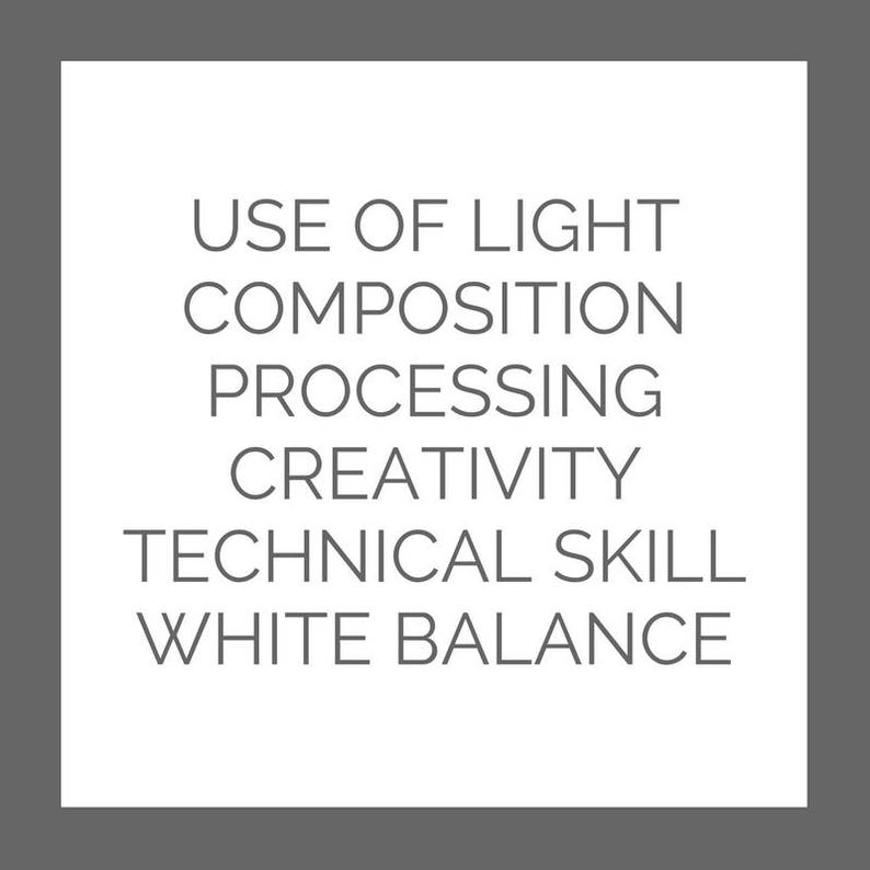 May include: A list of photography terms, including "Use of Light", "Composition", "Processing", "Creativity", "Technical Skill", and "White Balance".