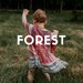 Forest - Lightroom Preset for Photographers - Instant Digital Download - One Click Edit. Bonus Item Included!