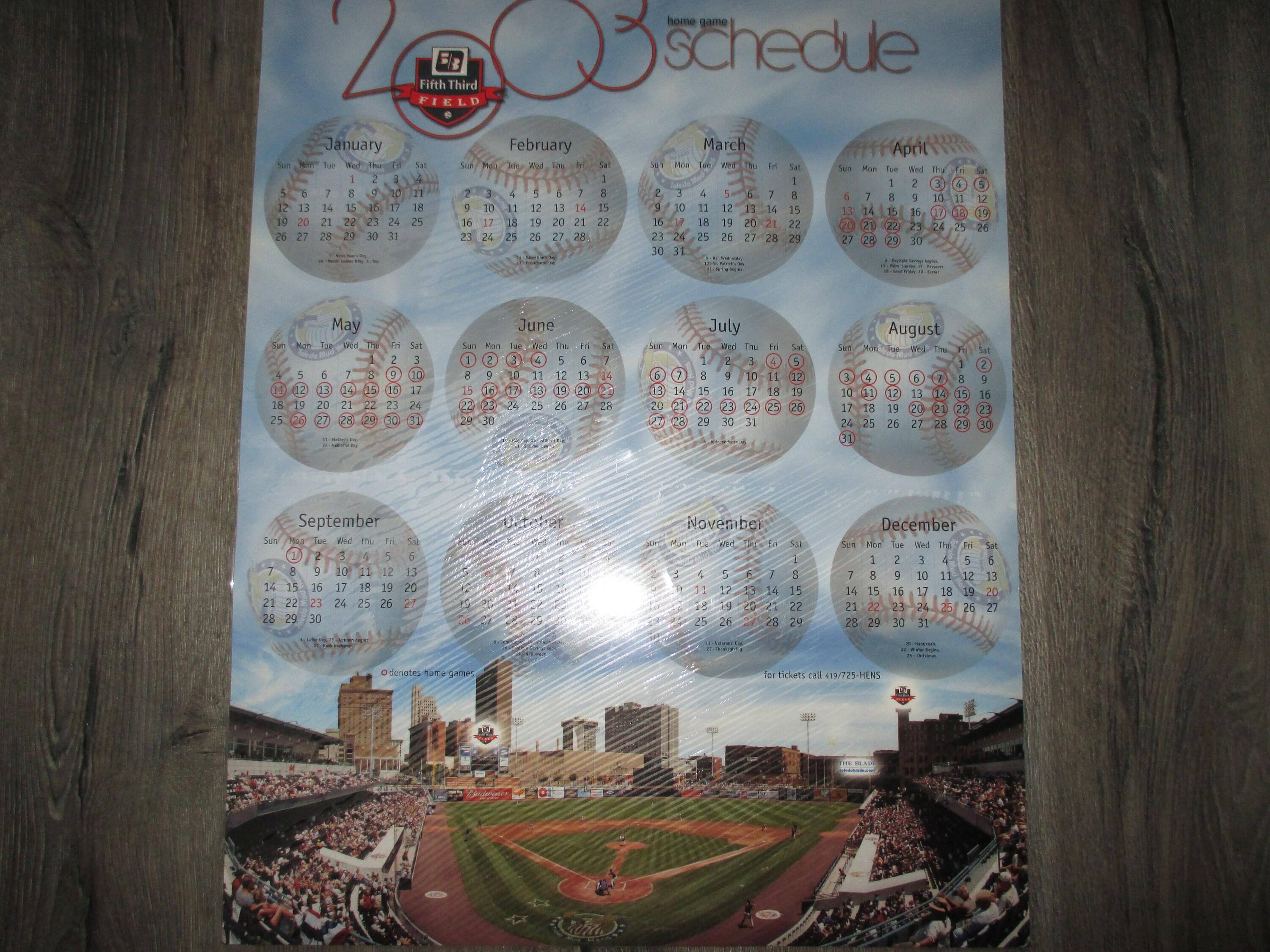 Choice Toledo Mud Hens Souvenirs, Mud Hens Jersey, Mud Hens Poster