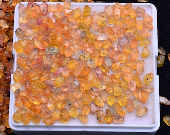 50 Natural Yellow Sapphire Rough Gemstones, Untreated Raw Crystals (3-6mm)
