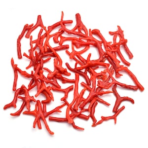 Red Coral 100% Natural Italian Red Coral Gemstone Loose Branch Polished AAA+ Quality Coral Stick Gemstones Red Coral Well Polished Rough