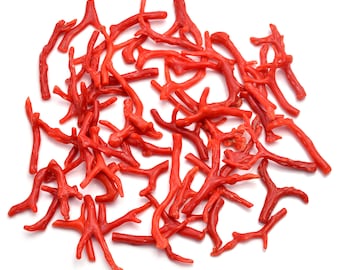 Red Coral 100% Natural Italian Red Coral Gemstone Loose Branch Polished AAA+ Quality Coral Stick Gemstones Red Coral Well Polished Rough