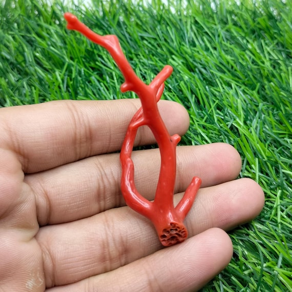 Red Coral Branch, Natural Italian Gemstone Stick, Jewelry Making