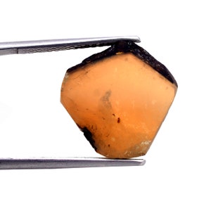 Fette di tormalina bicolore - Fette lucidate di tormalina anguria - Pietra preziosa sfusa - Fette di tormalina 11,90 CT, Pietra preziosa grezza multi tormalina