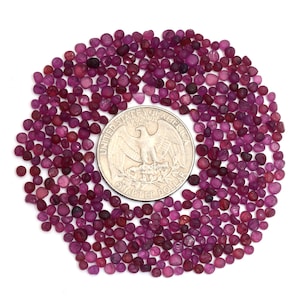 100 Pcs Rhodolite Garnet Ethically Sourced Very tiny Tumbled Stone 2-3mm Earth Unpolished Mined garnet for beading Supplies Making Jewelry