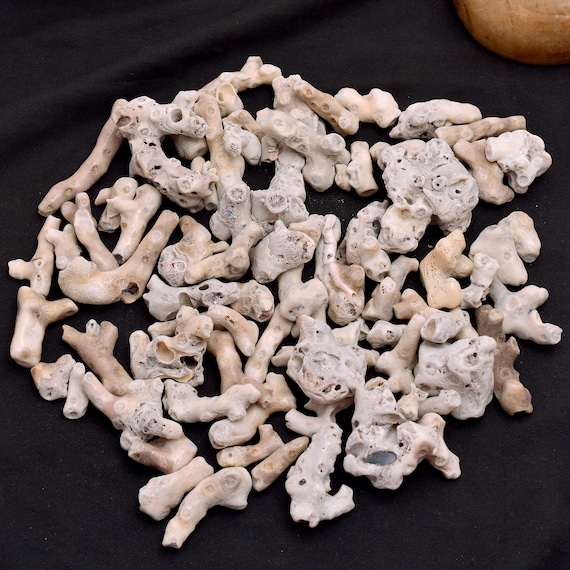 5 White Coral Branch Pieces, Natural Rough Gemstone, DIY Jewelry Supplies