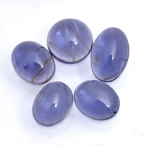 9.75 Cts Naturel Haute Qualité Iolite Mélange Forme Cabochon Pierres Précieuses Lâches Taille Ovale-11X7.5X3.5-9X7X3.5 MM Rond-9X4 MM 5-Pcs # AB115