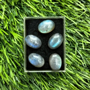 Blue Fire 5pcs Labradorite Oval Cabochon Loose Gemstone Size- 14x10mm. Beautiful Blue Fire Labradorite For Jewelry.!!