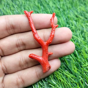 Rode koraal edelsteen, ruwe Italiaanse koraalstok, natuurlijke Italiaanse koraal ruwe stok, gepolijste koraalstok, edelsteen riftak-voor sieraden