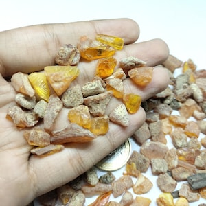 Raw Yellow Amber Stone, Natural Lithuania Minerals (8mm-15mm)