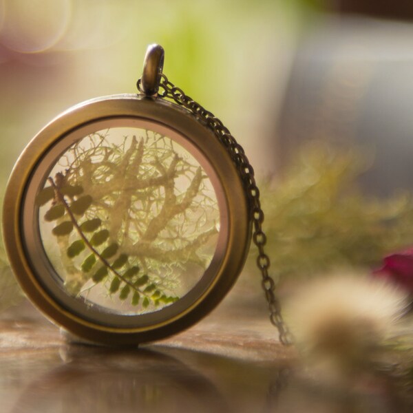 Irish Woodland Terrarium Locket, Real Moss and Fern Terrarium, Gifts from Ireland, Irish Gifts, Real Fern Locket, Irish Woodland Jewelry