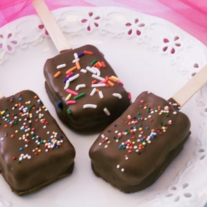 Brownie On A Stick - 1 dozen - Chocolate Treat - Brownie Pop - Confetti Brownie - Party Favors