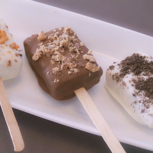 Chocolate Dipped Rice Krispies Treats, Rice Krispies Treats on a Stick, Novelty Dessert