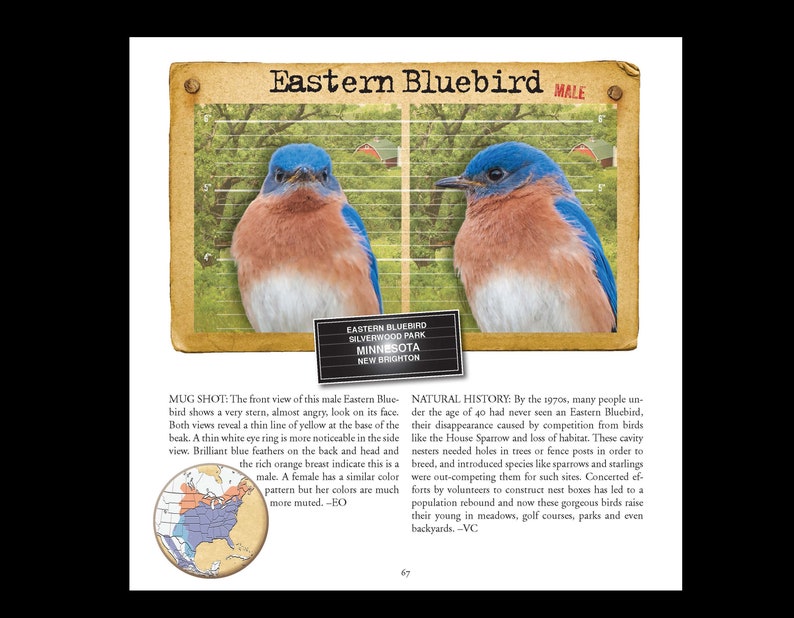 Bird Mug Shots book image 6