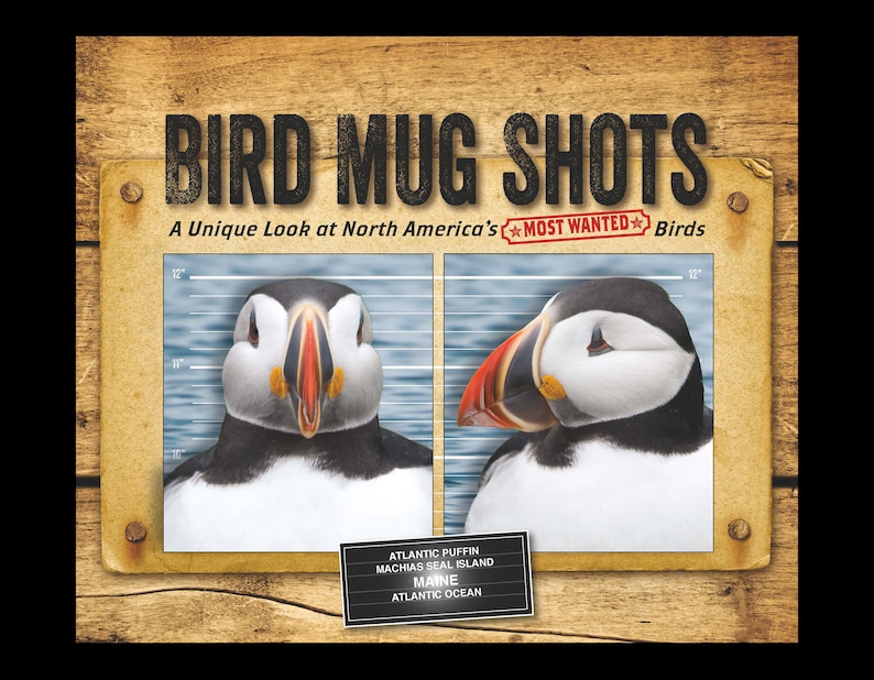 Bird Mug Shots book image 1