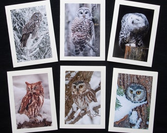 Set of 6 Winter Owl Photo Note Cards