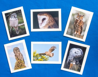 Set of 6 Owl Photo Note Cards