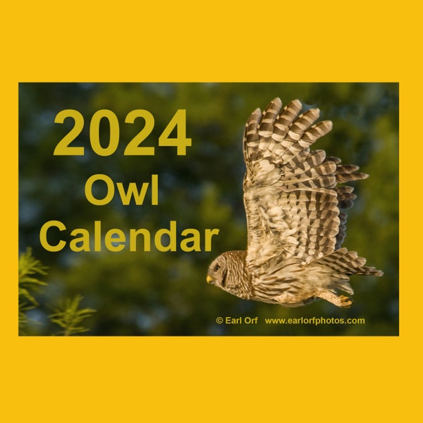 Bird 2024 Calendar Etsy
