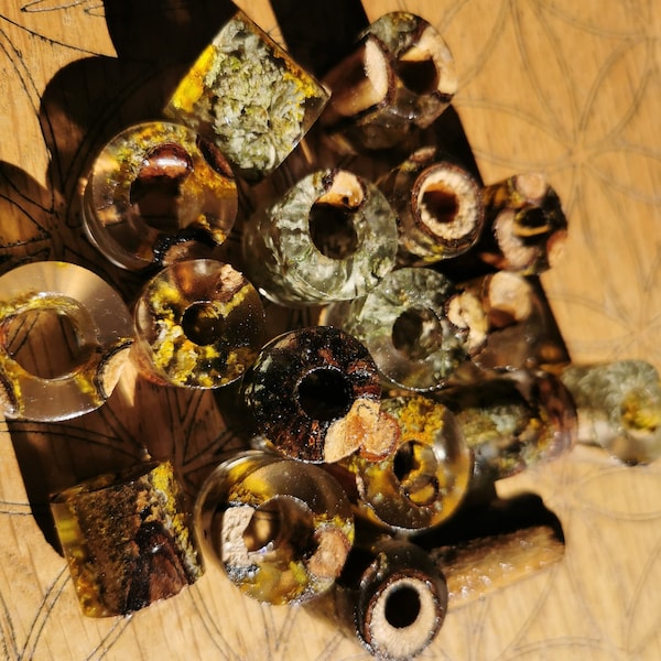 PERLES DREAD LICHEN, lot de 20, brindilles de bois moussu en résine écologique transparente, décorations dreadlocks naturelles rustiques, trous 10 mm 9 mm 8 mm 7 mm 6 mm