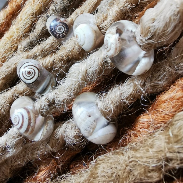 SHELL DREAD BEADS x6, Tiny Seashell Dreadlock Decorations Set, Crystal Clear Eco Friendly Resin, 6mm Holes, Natural Earthy Mermaid Vibes