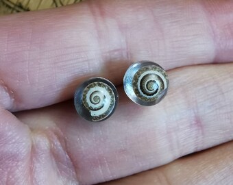 TINY SHELL STUDS, Stud Earrings Made From Eco Friendly Resin & Small Sea Snail Shells, Earthy Natural Jewellery, Gift For Beachcomber Friend