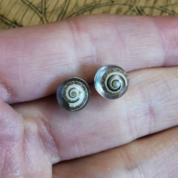 TINY SHELL STUDS, Stud Earrings Made From Eco Friendly Resin & Small Sea Snail Shells, Earthy Natural Jewellery, Gift For Beachcomber Friend