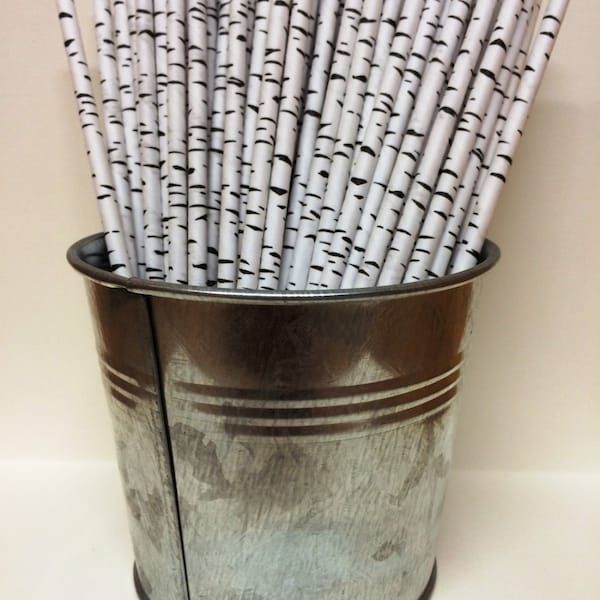 Birch Paper Straws Etsy