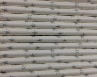 Paper Straws Metallic Silver Stars 25