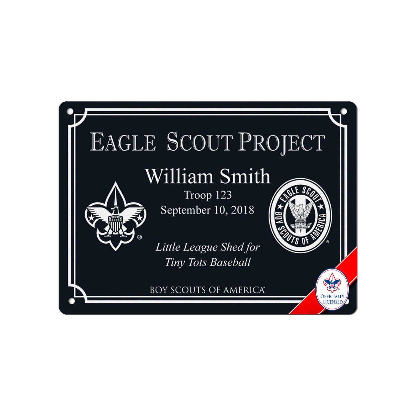 BSA Licensed-eagle Scout Project Marker 10 Years Extreme Weather ...