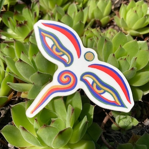 May include: A white sticker with a colorful eye design. The sticker features red, blue, yellow, and orange accents. The sticker is placed on a bed of green succulents.