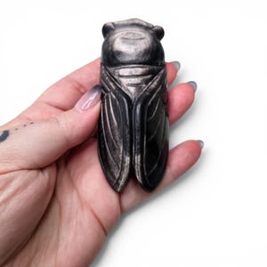 May include: A carved cicada figurine made of dark, polished stone with a metallic silver sheen. The insect sculpture features detailed wing textures, a rounded head, and a segmented body, showcasing a smooth, reflective surface throughout.