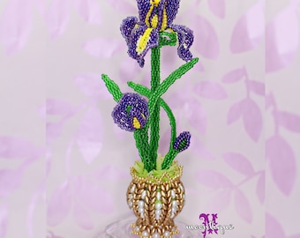 Mini Iris Flower with Pot