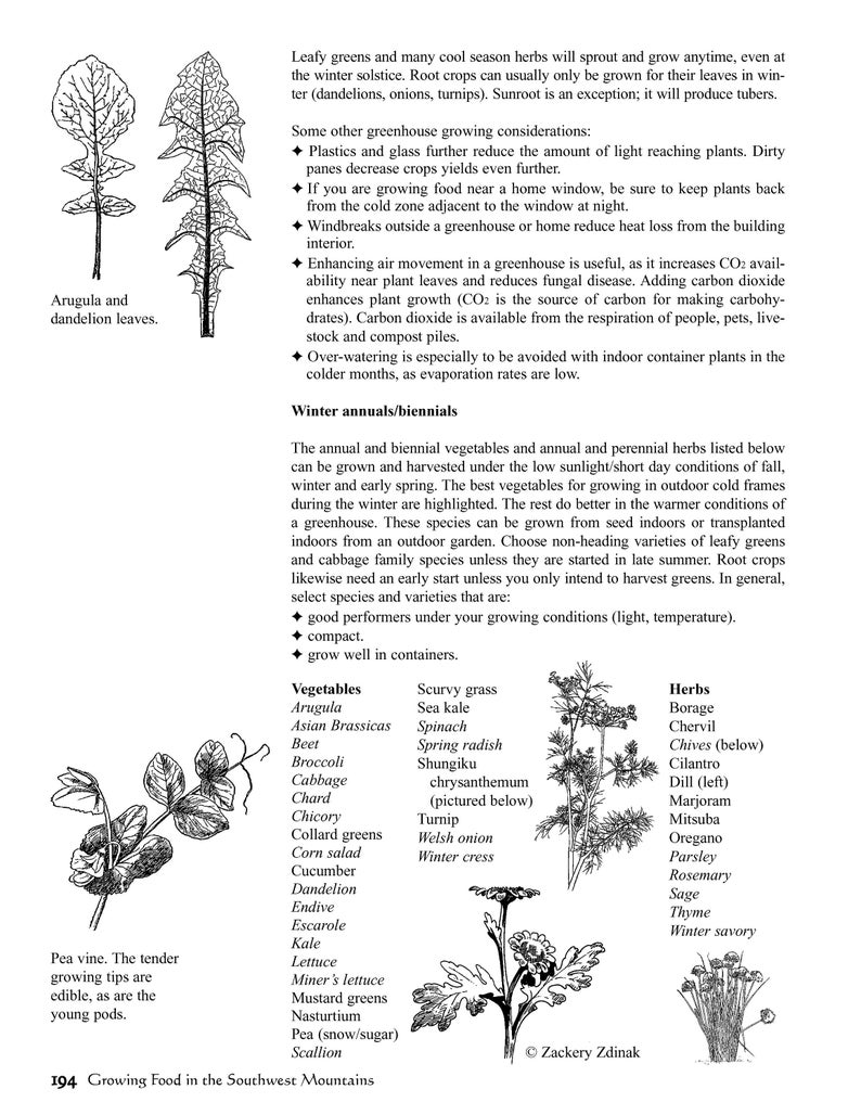 May include: A black and white line drawing illustration of a pea vine with the text "Pea vine. The tender growing tips are edible, as are the young pods."  The illustration is surrounded by a list of vegetables and herbs that can be grown in a greenhouse or outdoor cold frames.