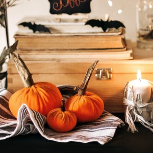 Petites citrouilles de velours pour halloween et Thanksgiving décor image 2