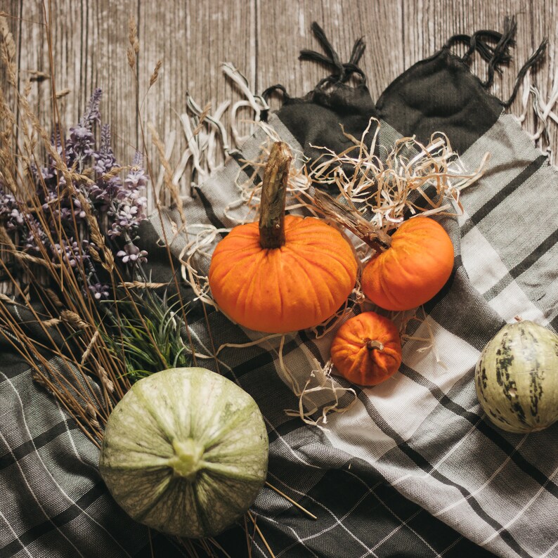 Petites citrouilles de velours pour halloween et Thanksgiving décor image 8