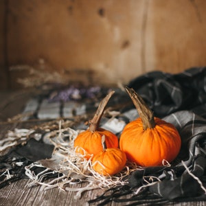 Petites citrouilles de velours pour halloween et Thanksgiving décor image 9