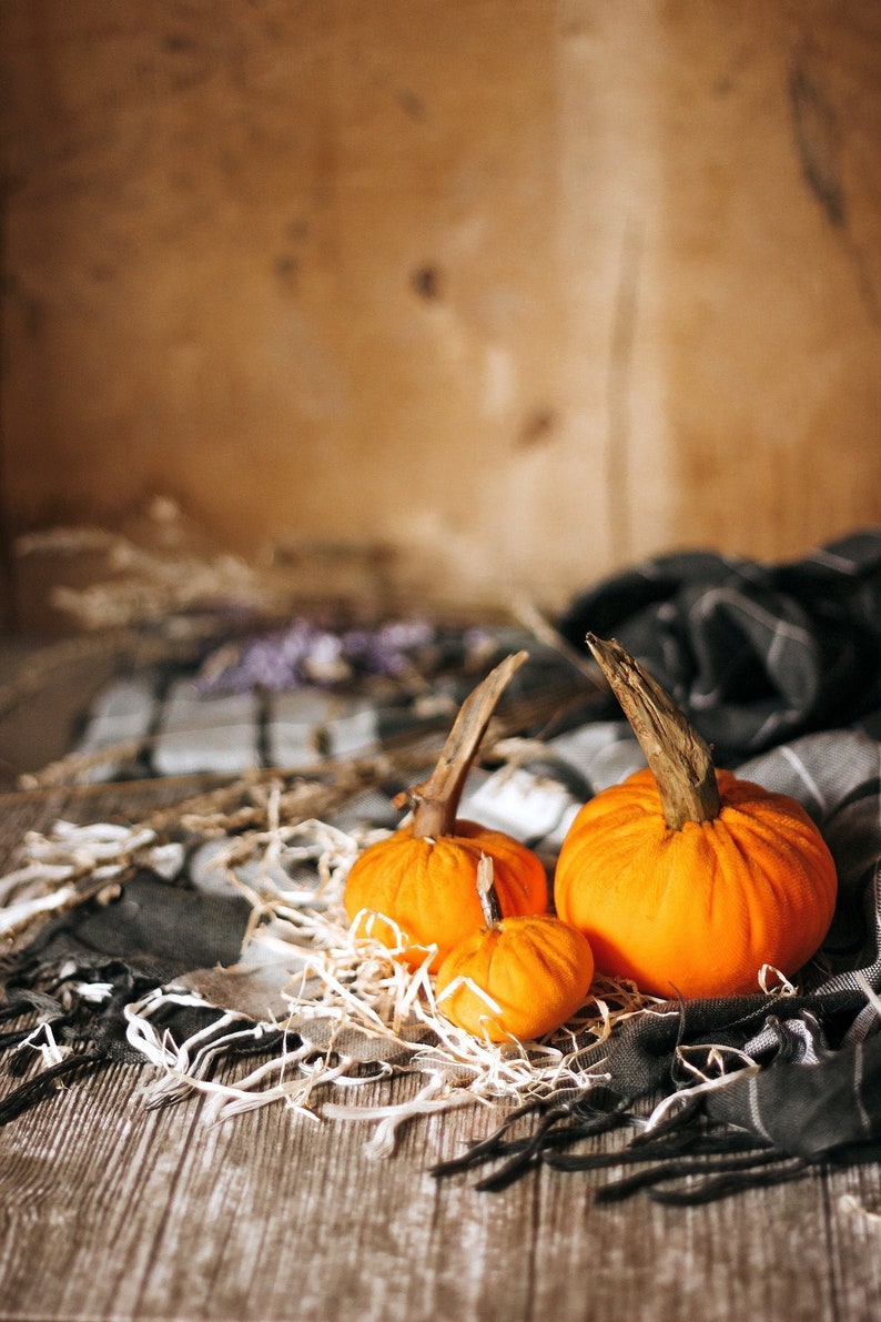 Petites citrouilles de velours pour halloween et Thanksgiving décor image 1