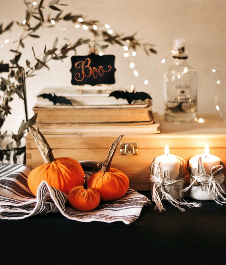 Petites citrouilles de velours pour halloween et Thanksgiving décor image 2